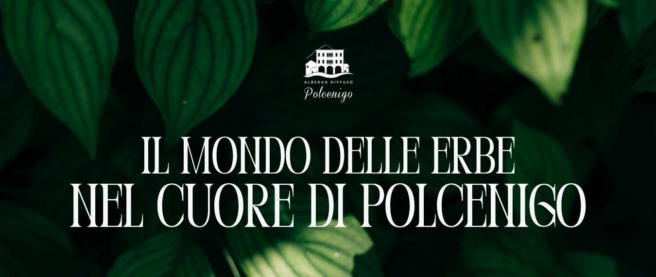 Il mondo delle Erbe nel cuore di Polcenigo