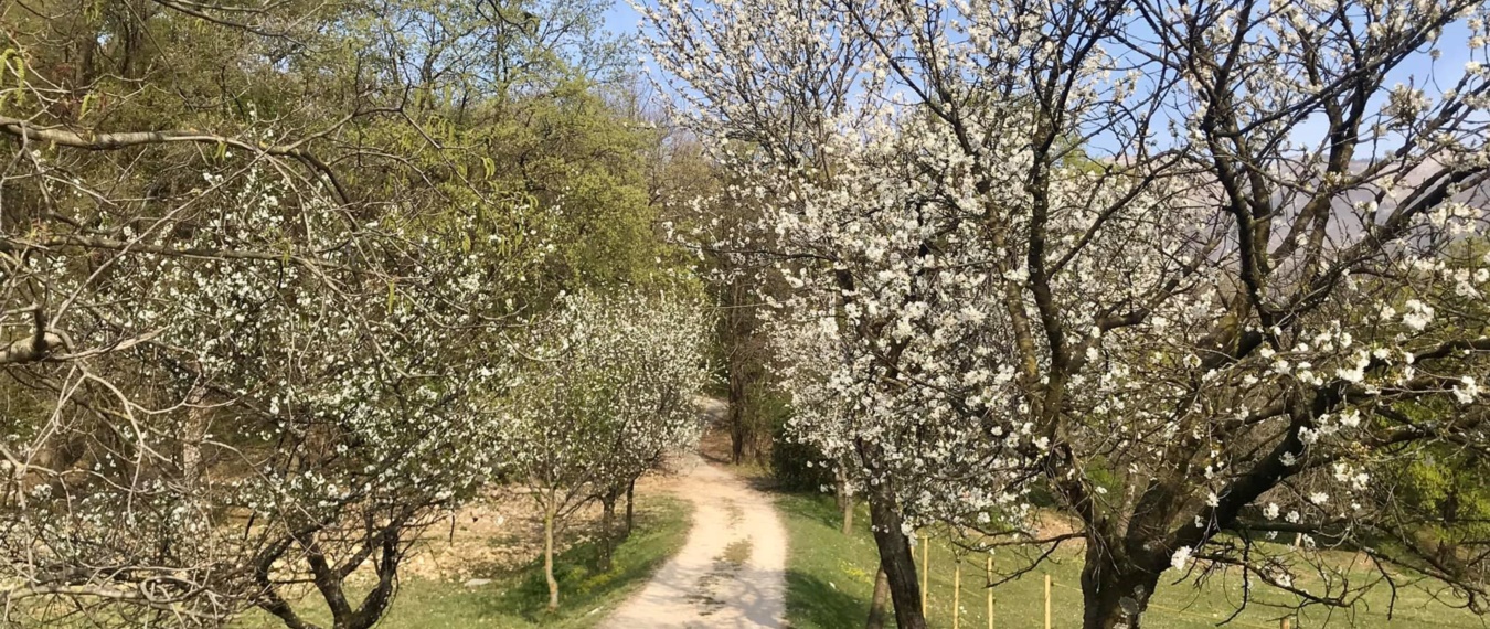 Parco di San Floriano